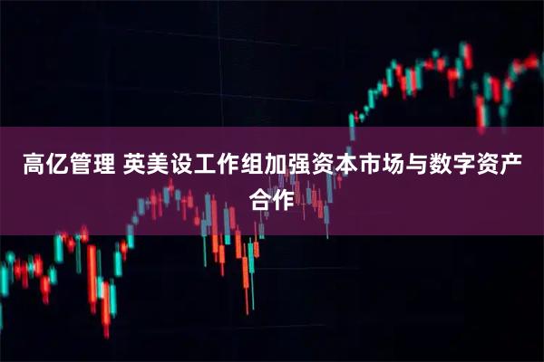 高亿管理 英美设工作组加强资本市场与数字资产合作