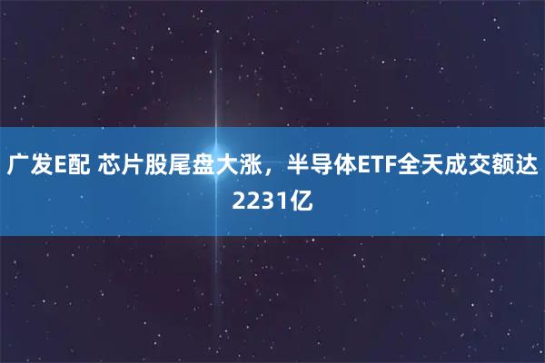 广发E配 芯片股尾盘大涨，半导体ETF全天成交额达2231亿
