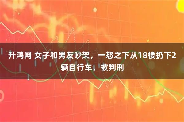 升鸿网 女子和男友吵架，一怒之下从18楼扔下2辆自行车，被判刑