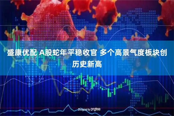 盛康优配 A股蛇年平稳收官 多个高景气度板块创历史新高